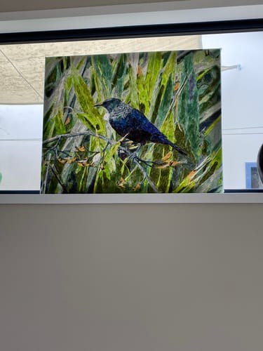 Customer photo review of Tui in Flax Bush