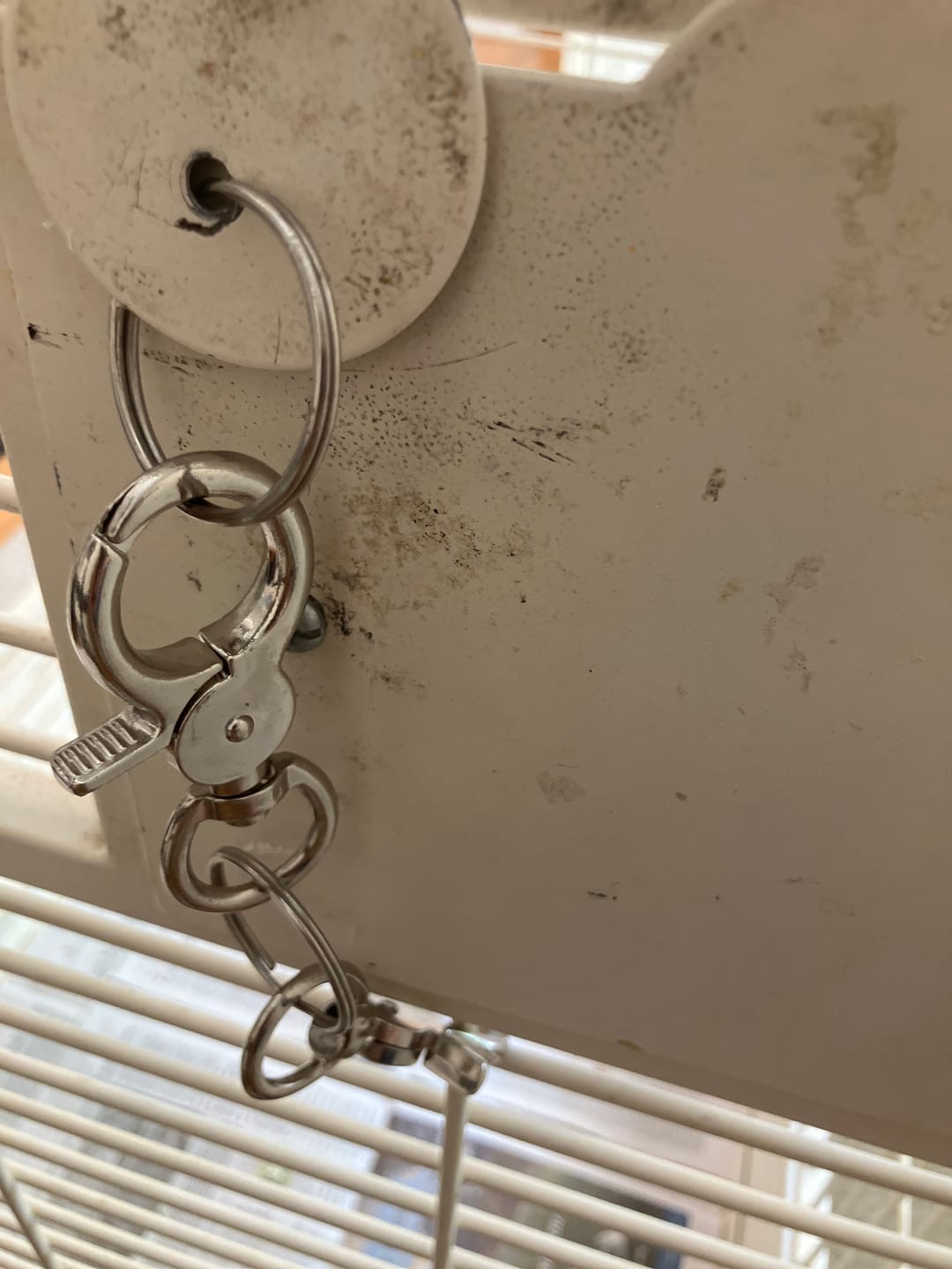 Customer photo review of 1321 Ring Claw Cage Door Lock