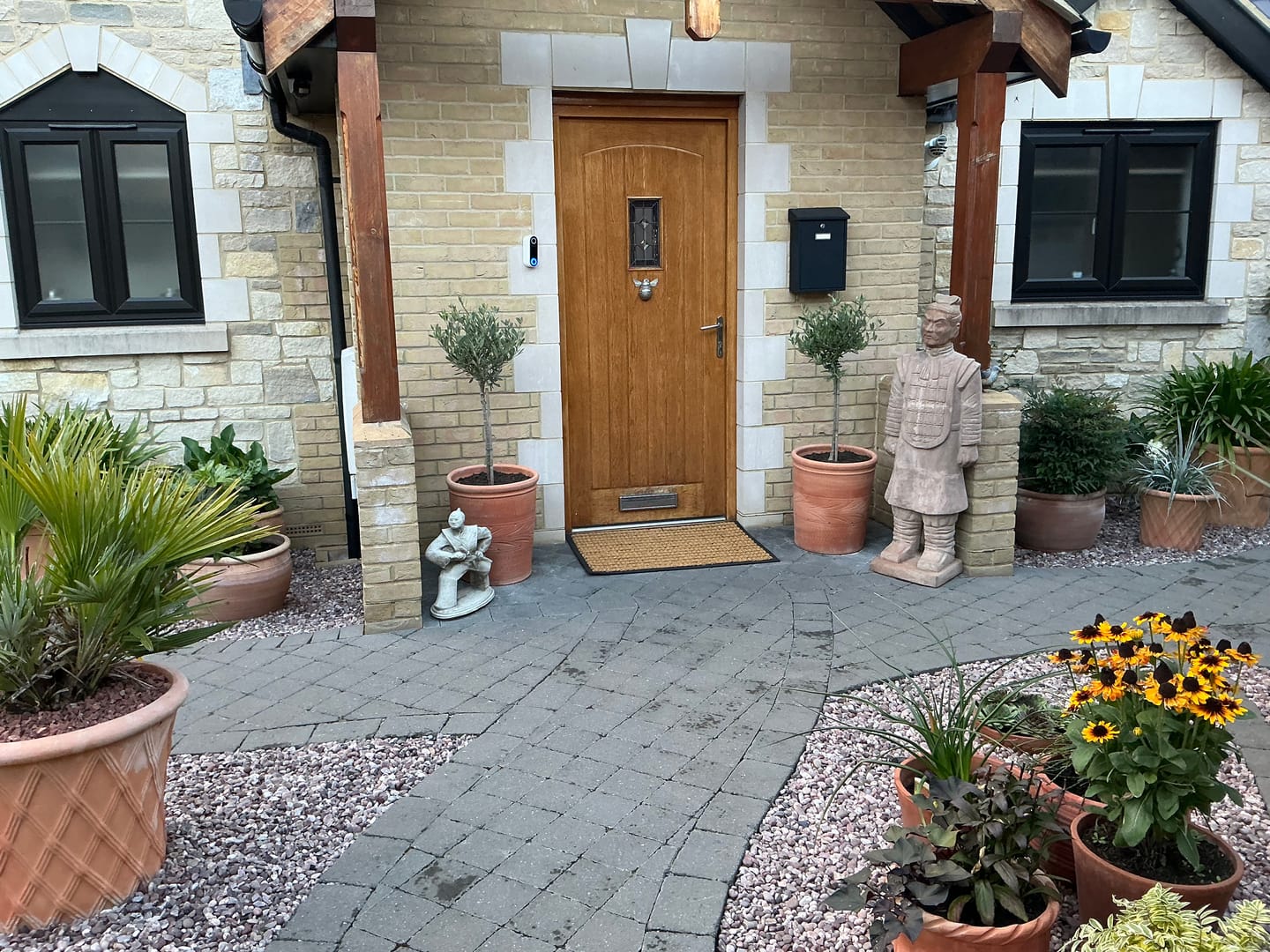 Customer photo review of Standard Olive Tree 90-100cm 5L
