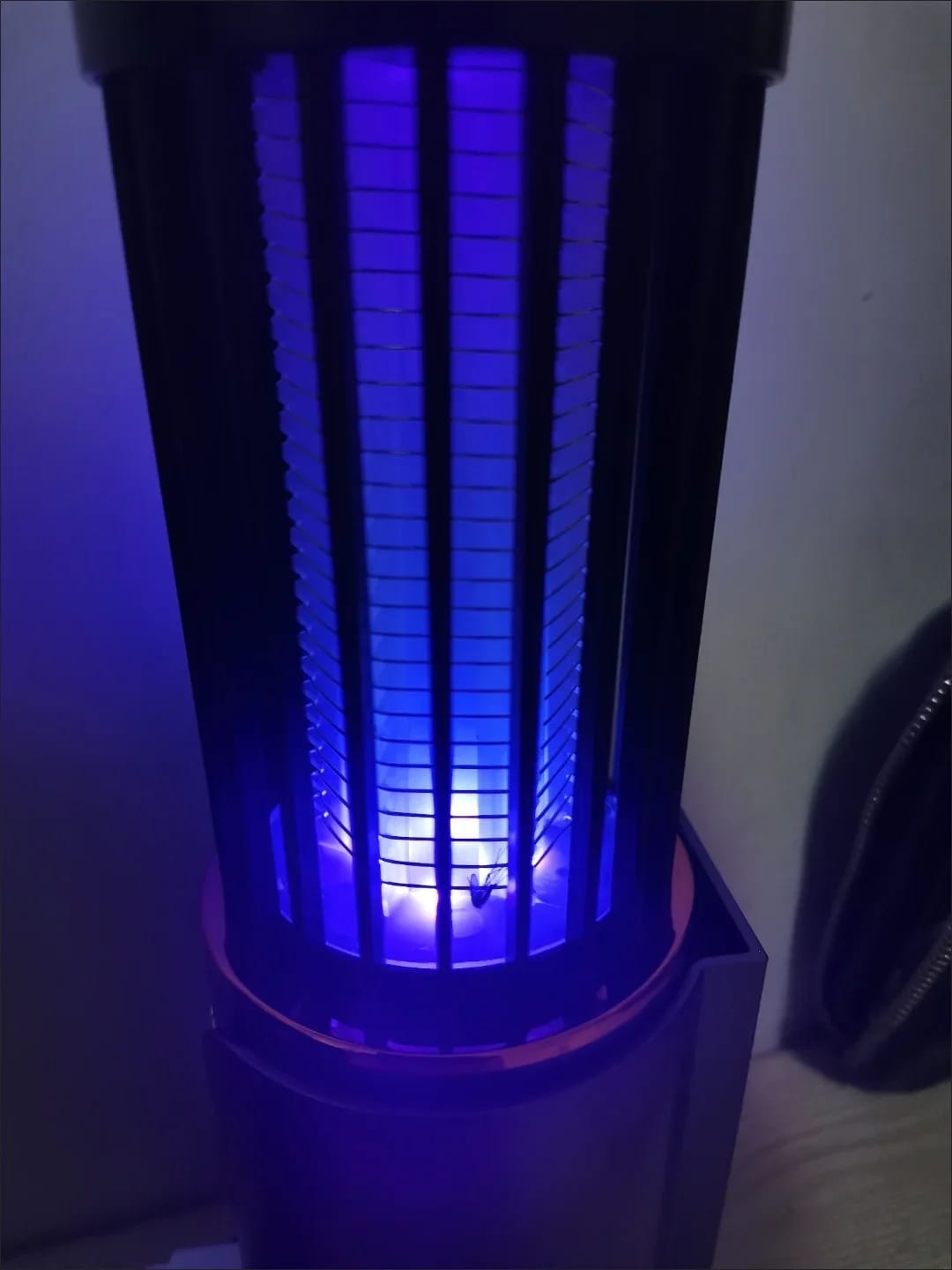 Customer photo review of Moskito Fallen Licht