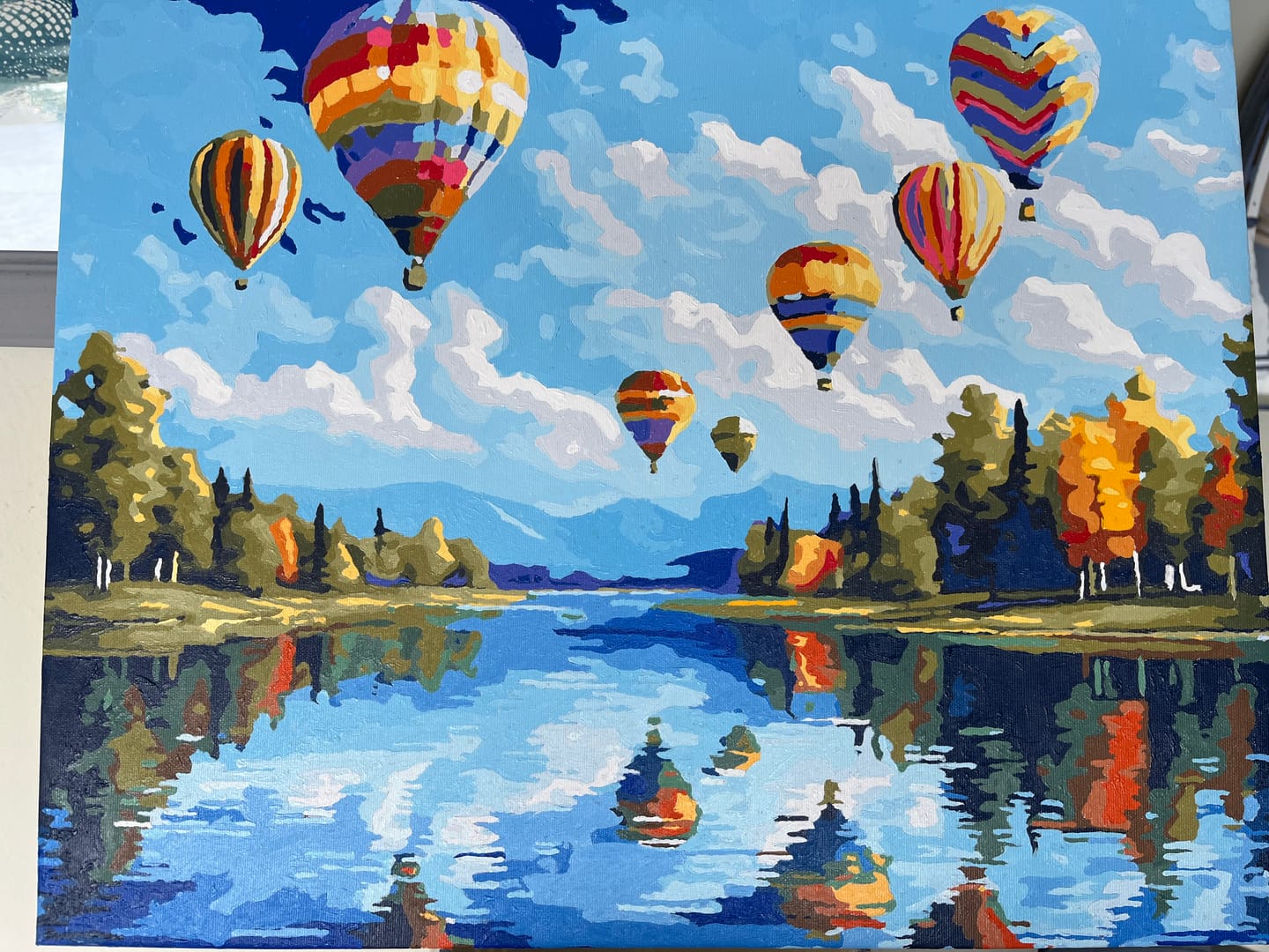 Customer photo review of Hot Air Balloon Showcase