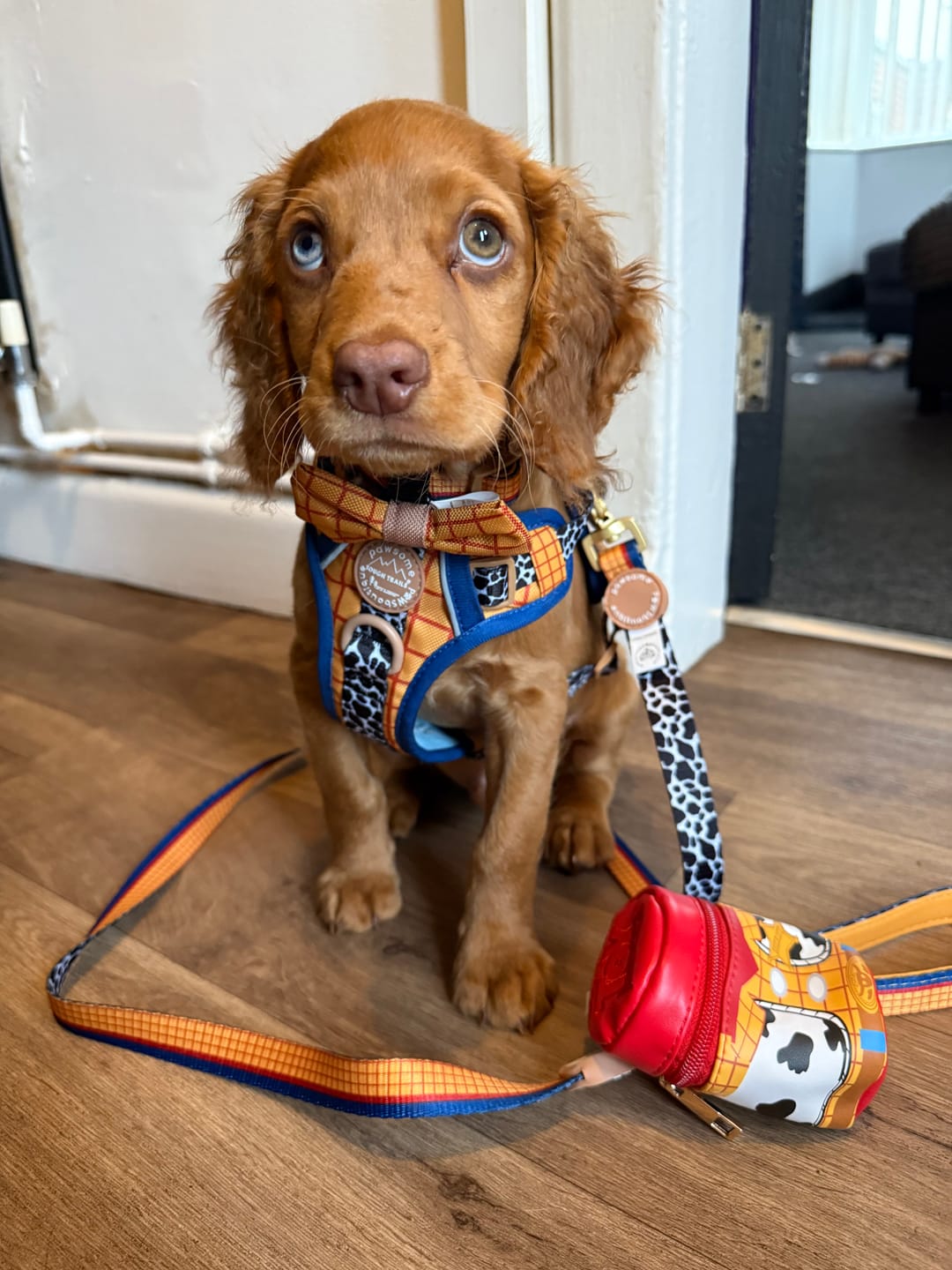 Customer photo review of Disney© Tough Trails™ Harness - Woody