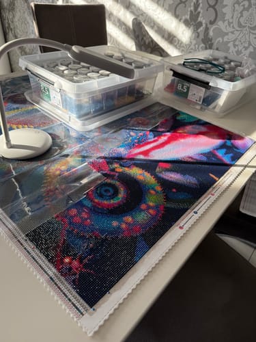 Customer photo review of 5D Diamond Painting – Rainbow Chameleon Delight