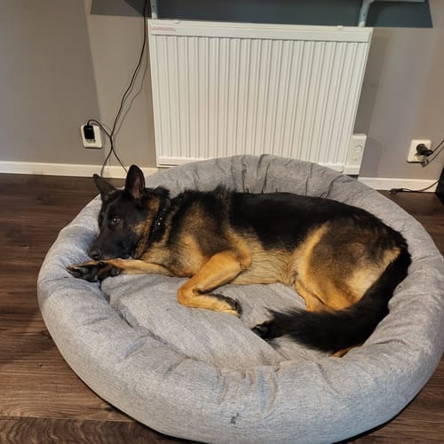 Customer photo review of CalmBed - Motverkar stress & hjälper mot ångest