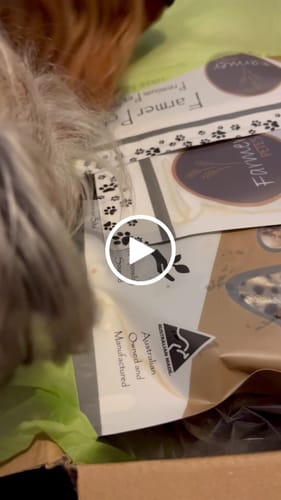 Customer video review of Cow Hooves