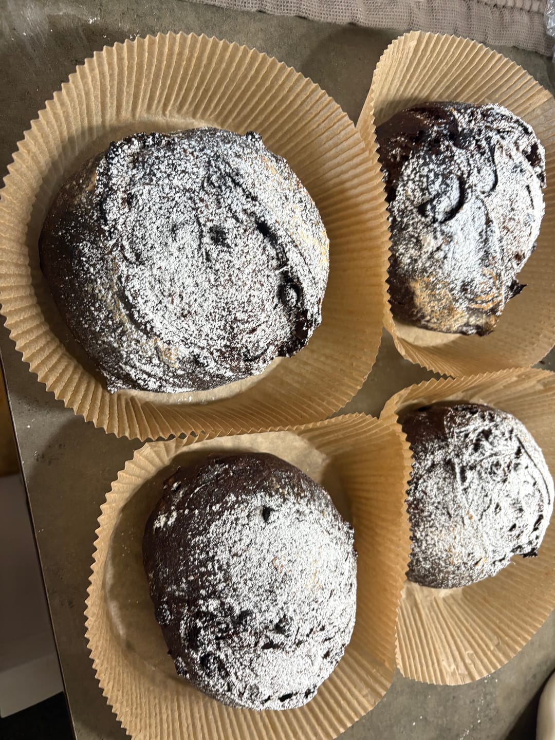 Customer photo review of Little Ranch Family's Live 118 Year Old Valrhona CHOCOLATE Sourdough Starter
