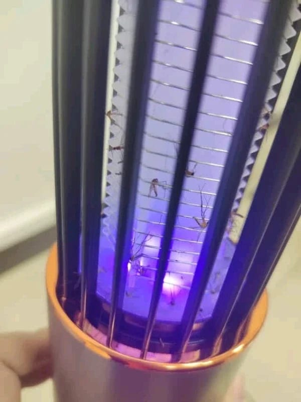Customer photo review of Moskito Fallen Licht