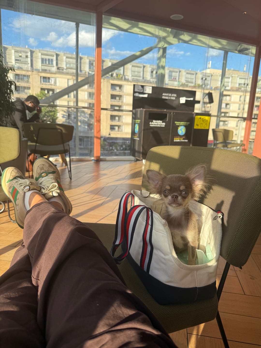 Customer photo review of Tommy Hilfiger Canvas Dog Tote Bag