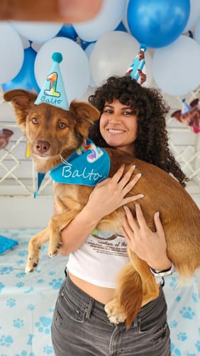 Customer photo review of Personalized Dog Party Pack
