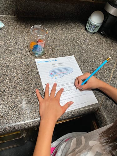 Customer photo review of Fifth Grade Curriculum