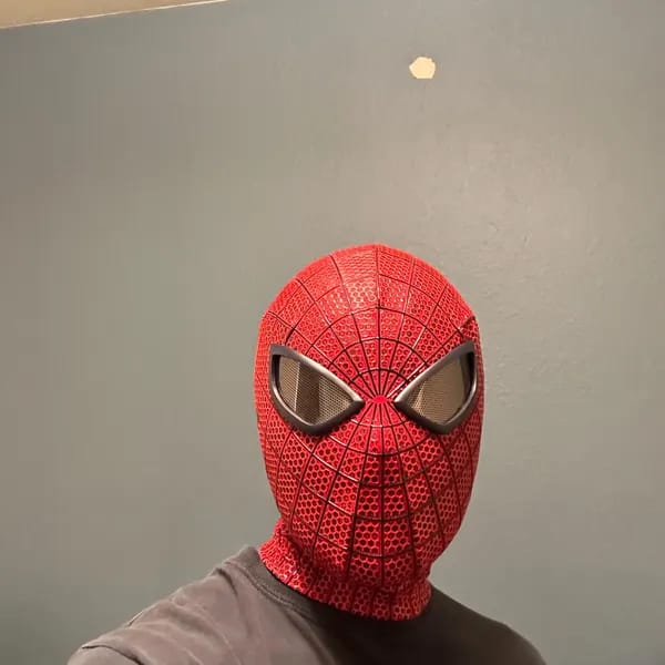 Customer photo review of The Amazing Spider-Man Life Size Wearable Mask
