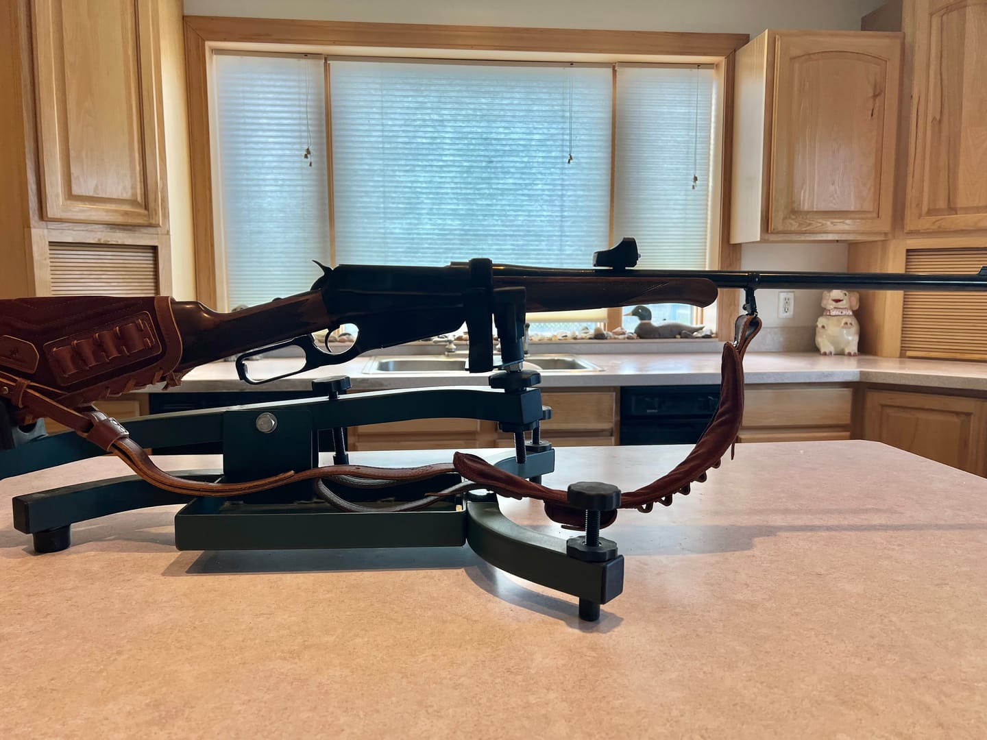 Customer photo review of Cover for NV sight III