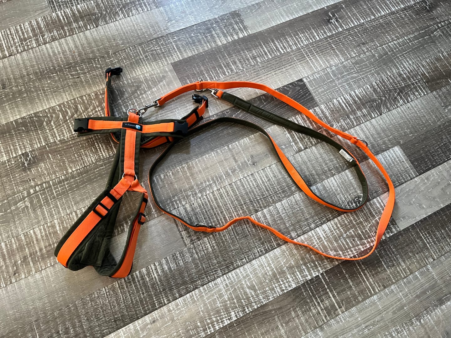 Customer photo review of Padded Adjustable Dog Lead Orange / Olive | AnnyX