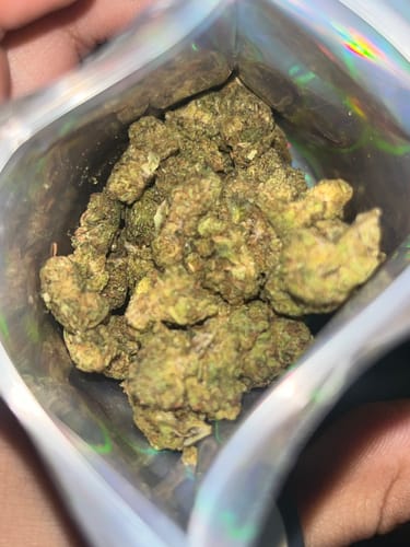 Customer photo review of Greenhouse Smalls