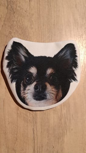 Customer photo review of 本物そっくり♪ペットフェイスバッグ