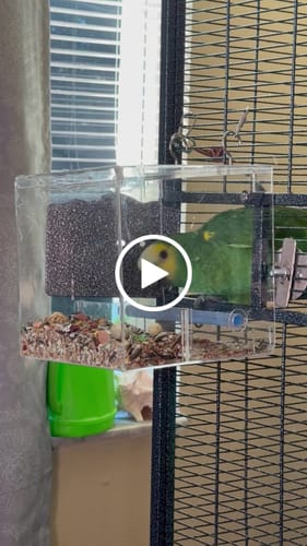 Customer video review of Large Tweeky Clean Bird Seed Feeder On Sale!