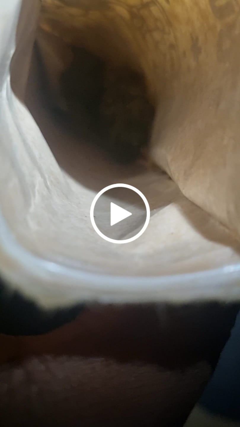 Customer video review of 🍓 Strawberry - POWER LVL: 4.5/5