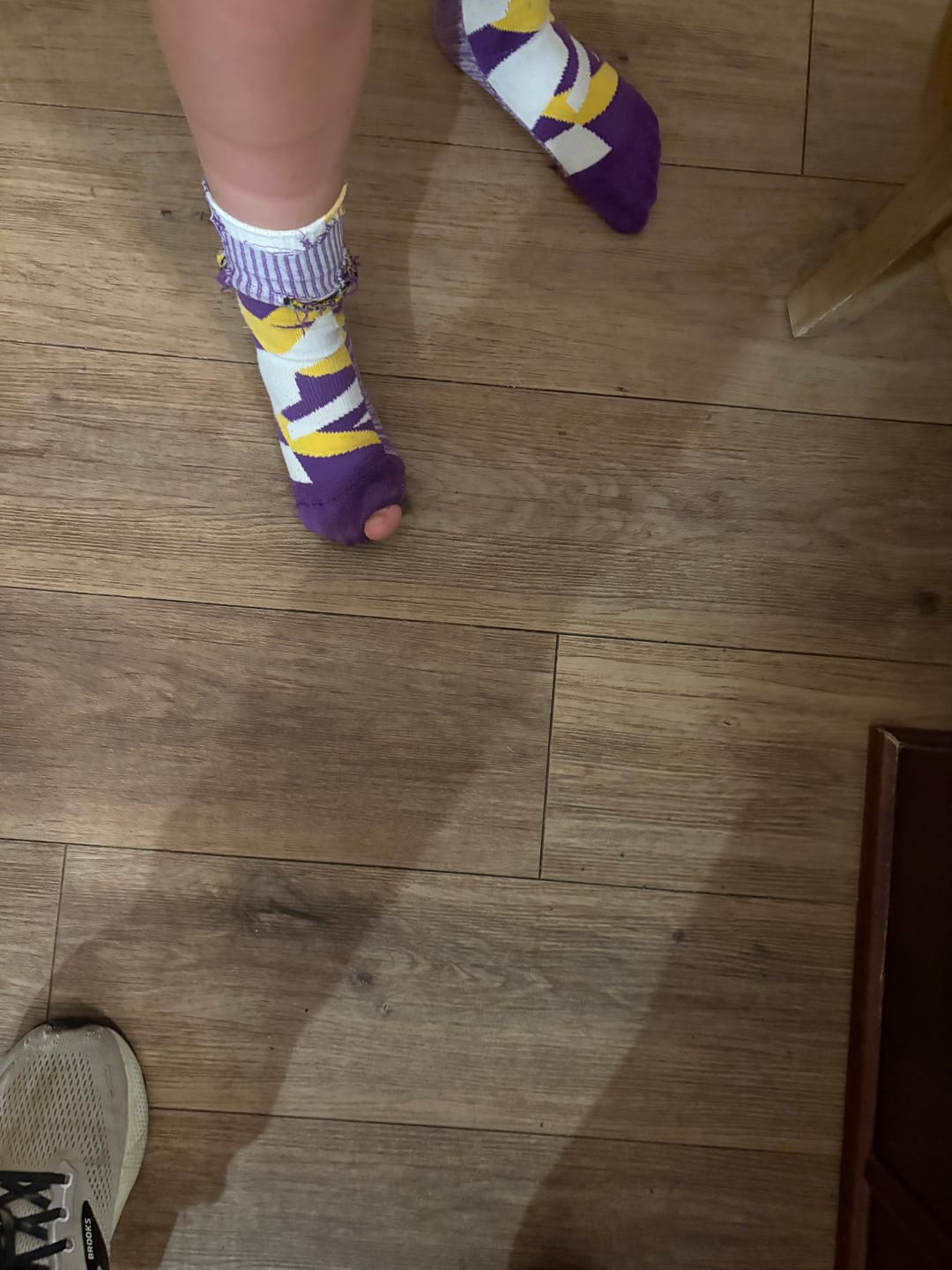 Customer photo review of Minnesota Vikings Breakout Premium Crew Socks