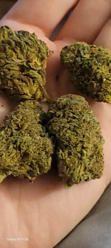 Customer photo review of Permanent Marker – Budget THCA Small Buds