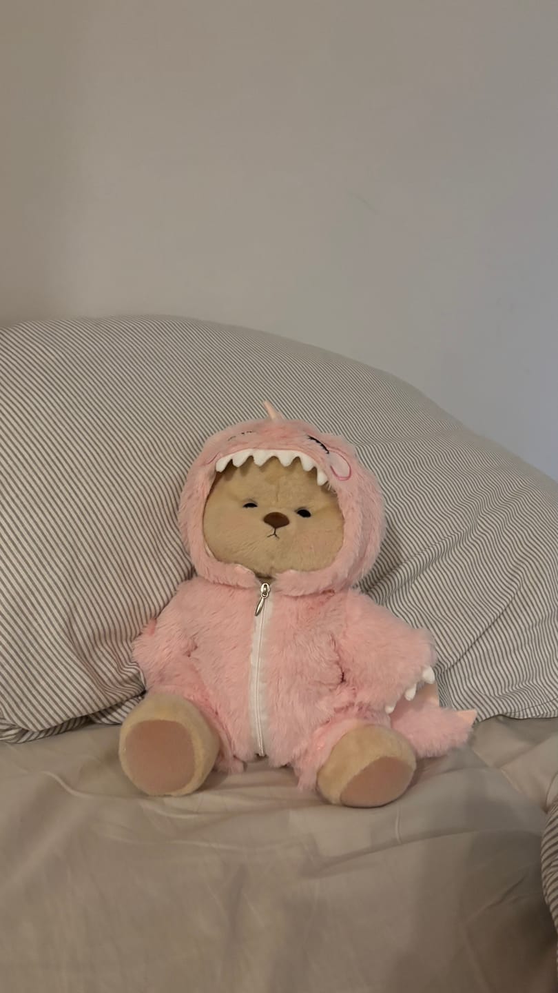 Customer photo review of Pink Dino