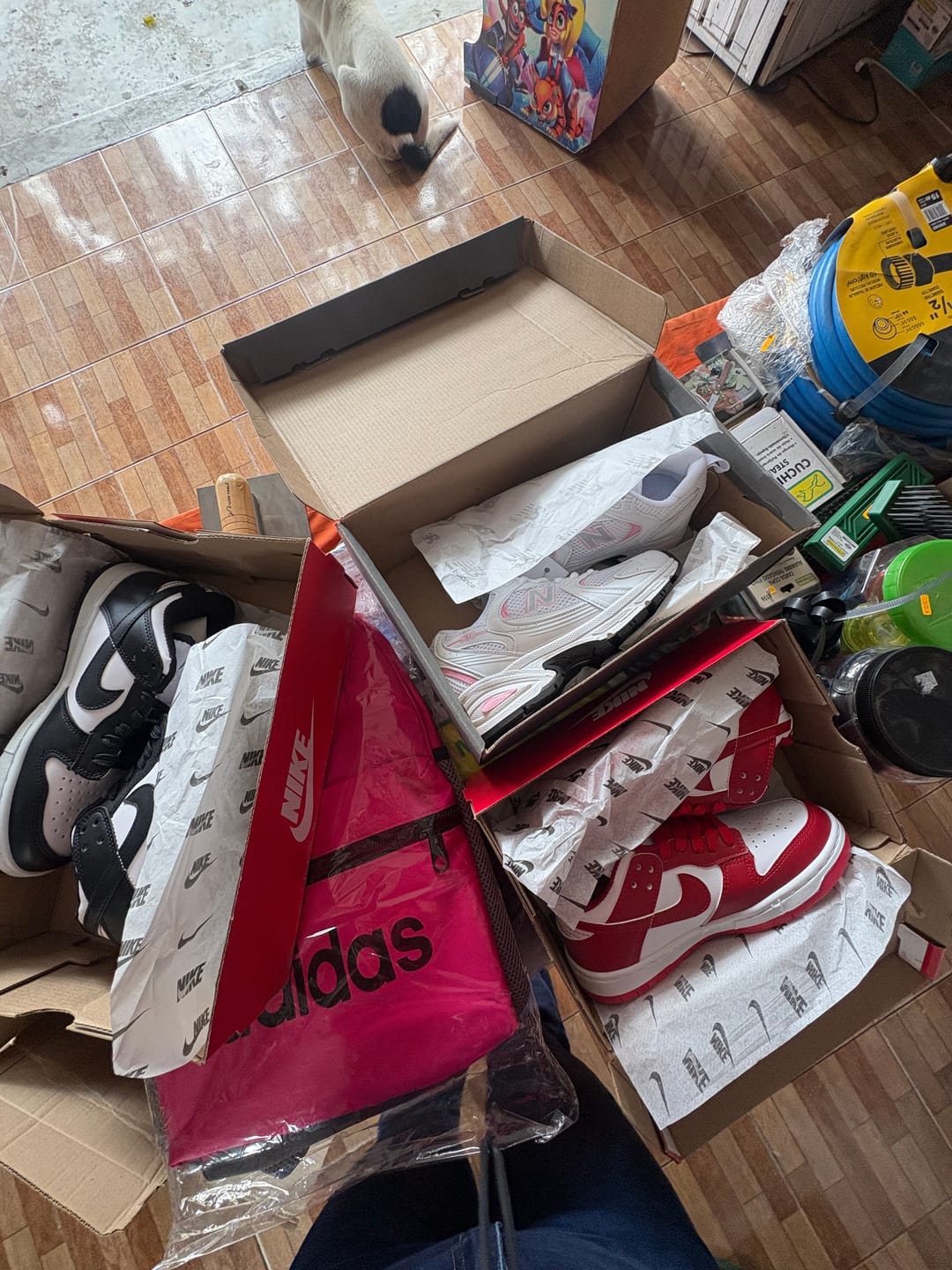Customer photo review of Tenis Dunk Low Vaquita