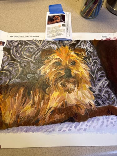 Customer photo review of Custom Paint By Numbers Kit - Upload Your Photo - Brush Set Included