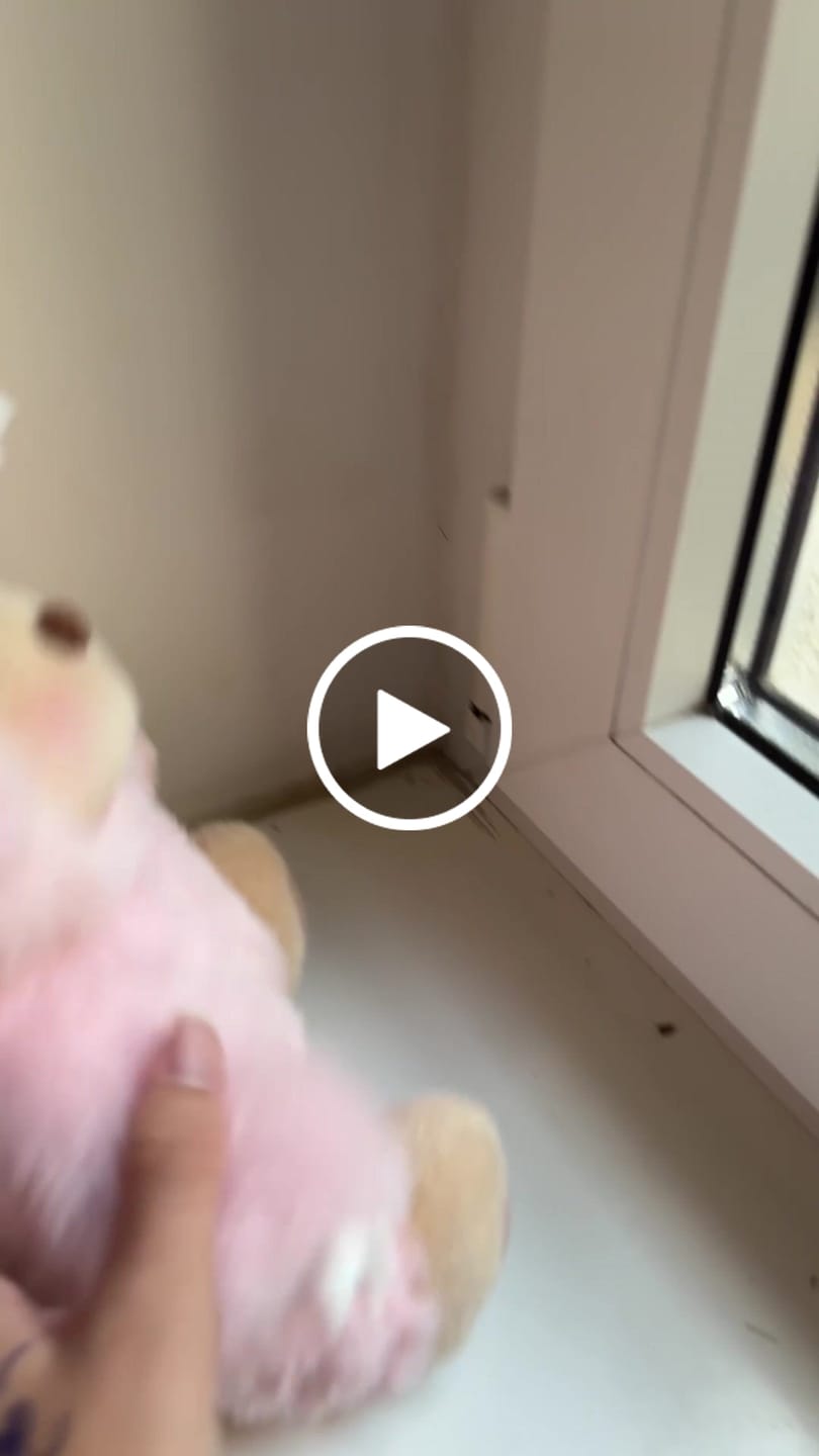 Customer video review of Pink Dino