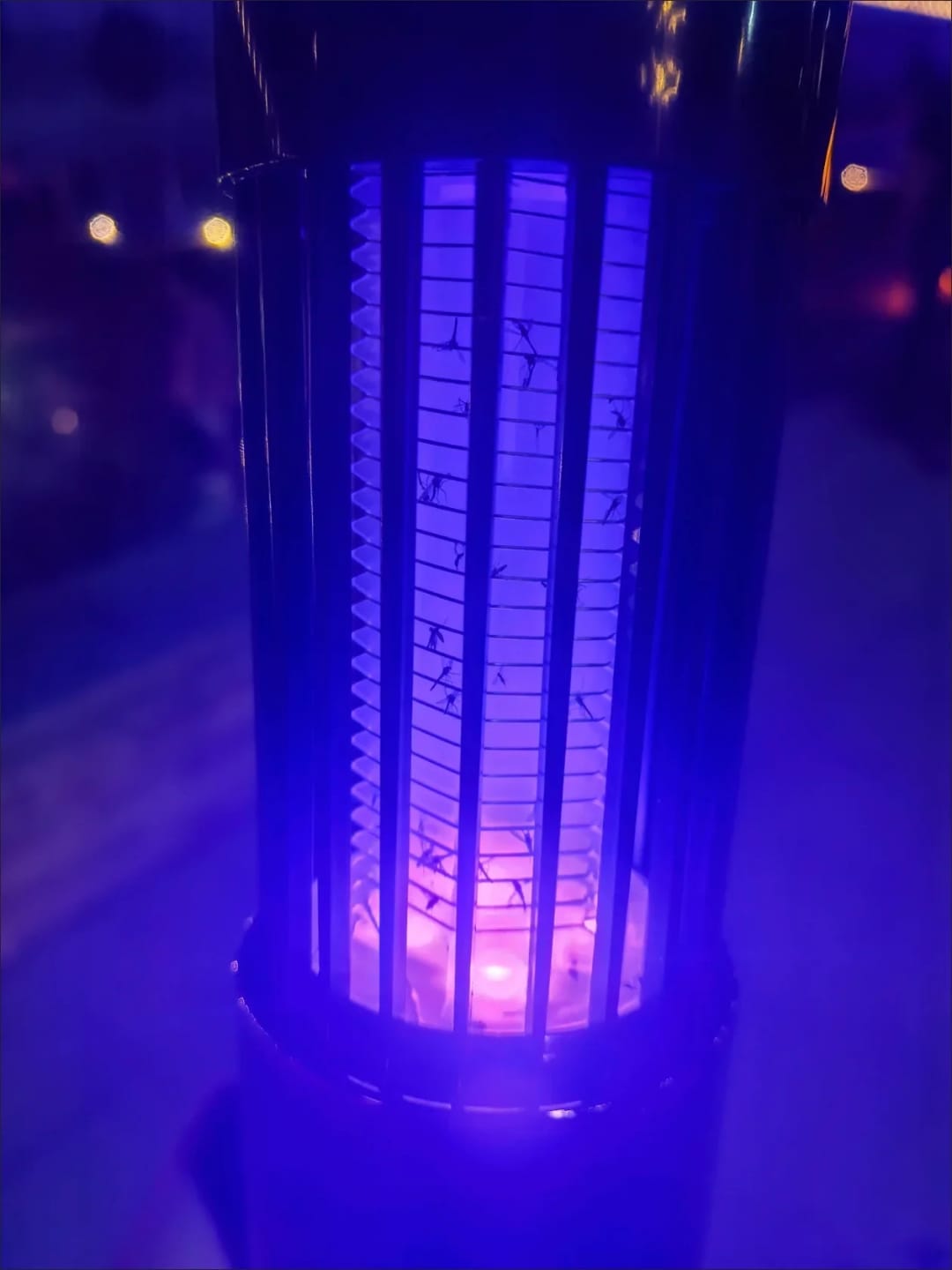 Customer photo review of Moskito Fallen Licht