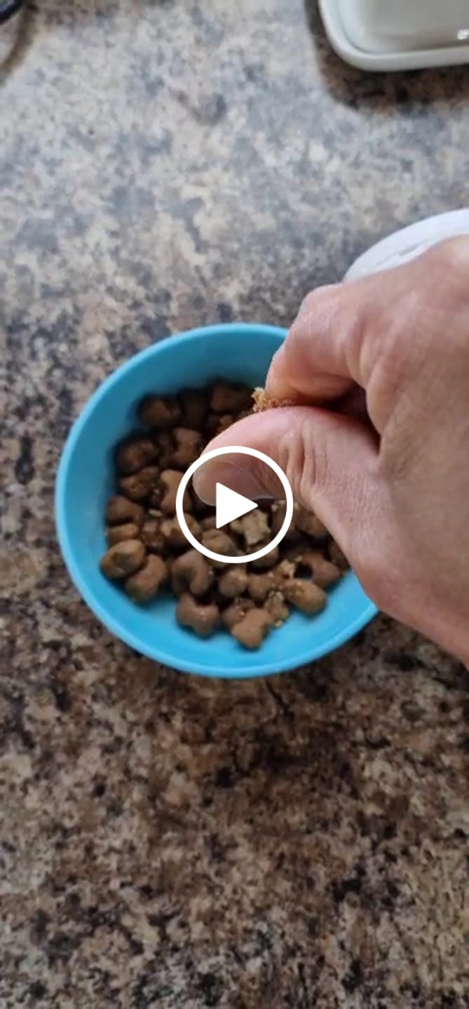 Customer video review of Calming Soft Chews for Dogs – Non-Drowsy, Vet-Formulated (60 Chews)