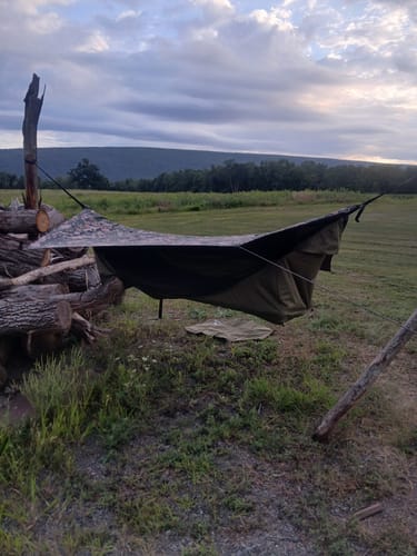 Customer photo review of Haven Safari Pad