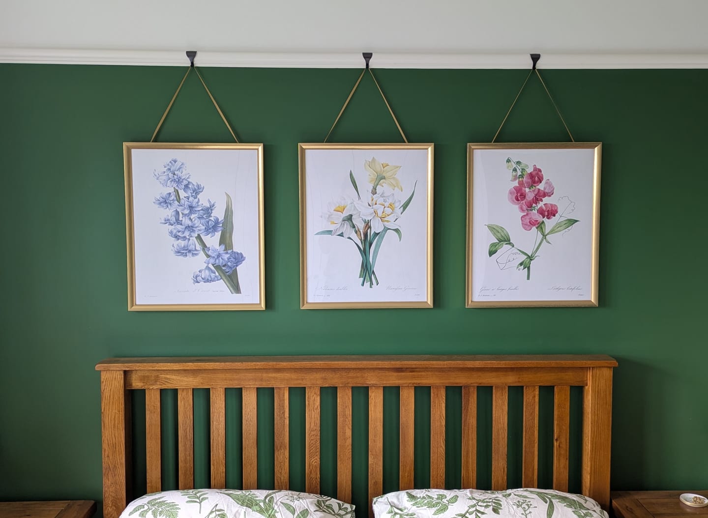 Customer photo review of Double Daffodil Botanical Illustration by Pierre-Joseph Redouté, 1827
