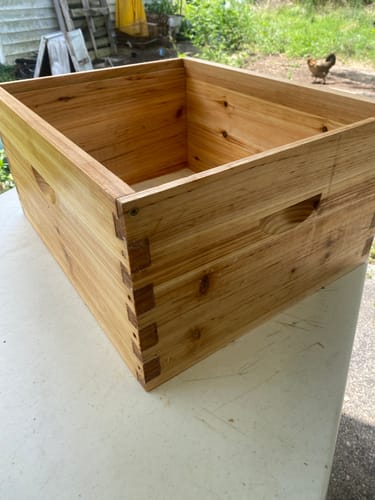 Customer photo review of BeeCastle Hives Optimized 2 PACK 10 Frame Deep Box Hive Body with Wax Dipped (Frameless, Logo Free) Essential Hive Part