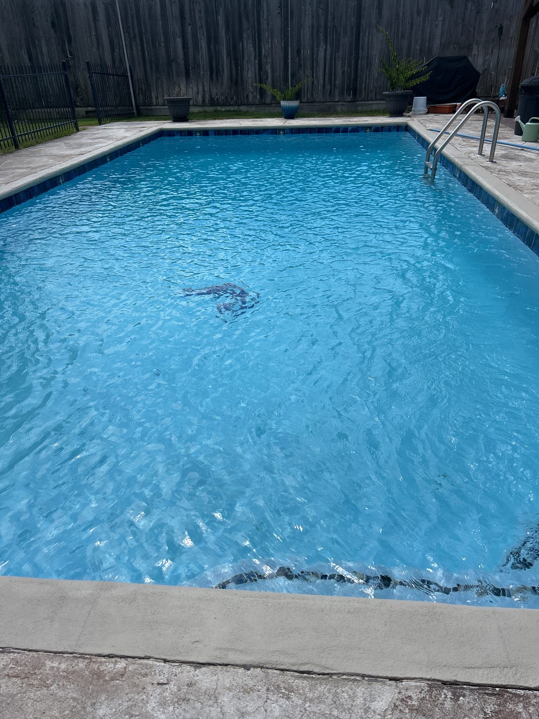 Customer photo review of E-Z Pool 10lb All in One Concentrated Pool Care Solution