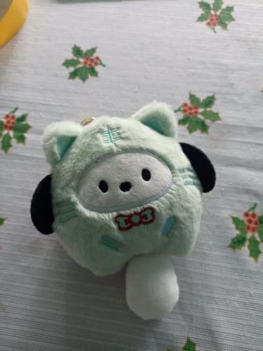 Customer photo review of Sanrio Keychains Chonky Cats Collection