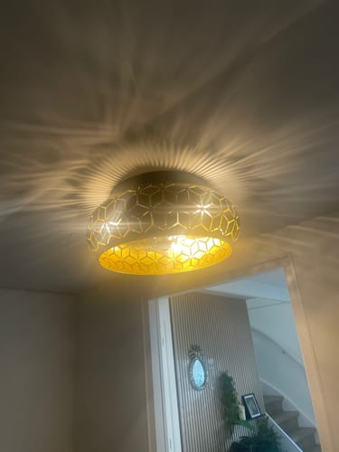 Customer photo review of Plafondventilator Elynn - Met Lamp - Mat Zwart