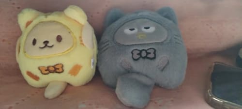 Customer photo review of Sanrio Keychains Chonky Cats Collection