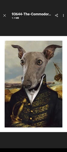 Customer photo review of The Commodore - Custom Pet Portrait