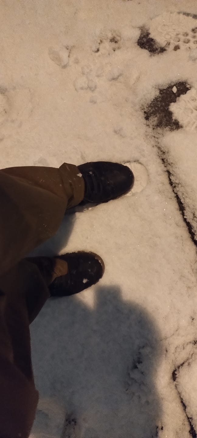 Customer photo review of Botas Timberland Mt. Maddsen Mid Lace Negro Marrón