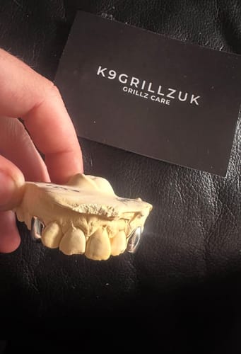 Customer photo review of Canine - Canine
