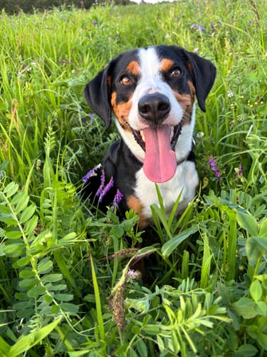 undefined review of Easy Squeezy image 1 out of 1