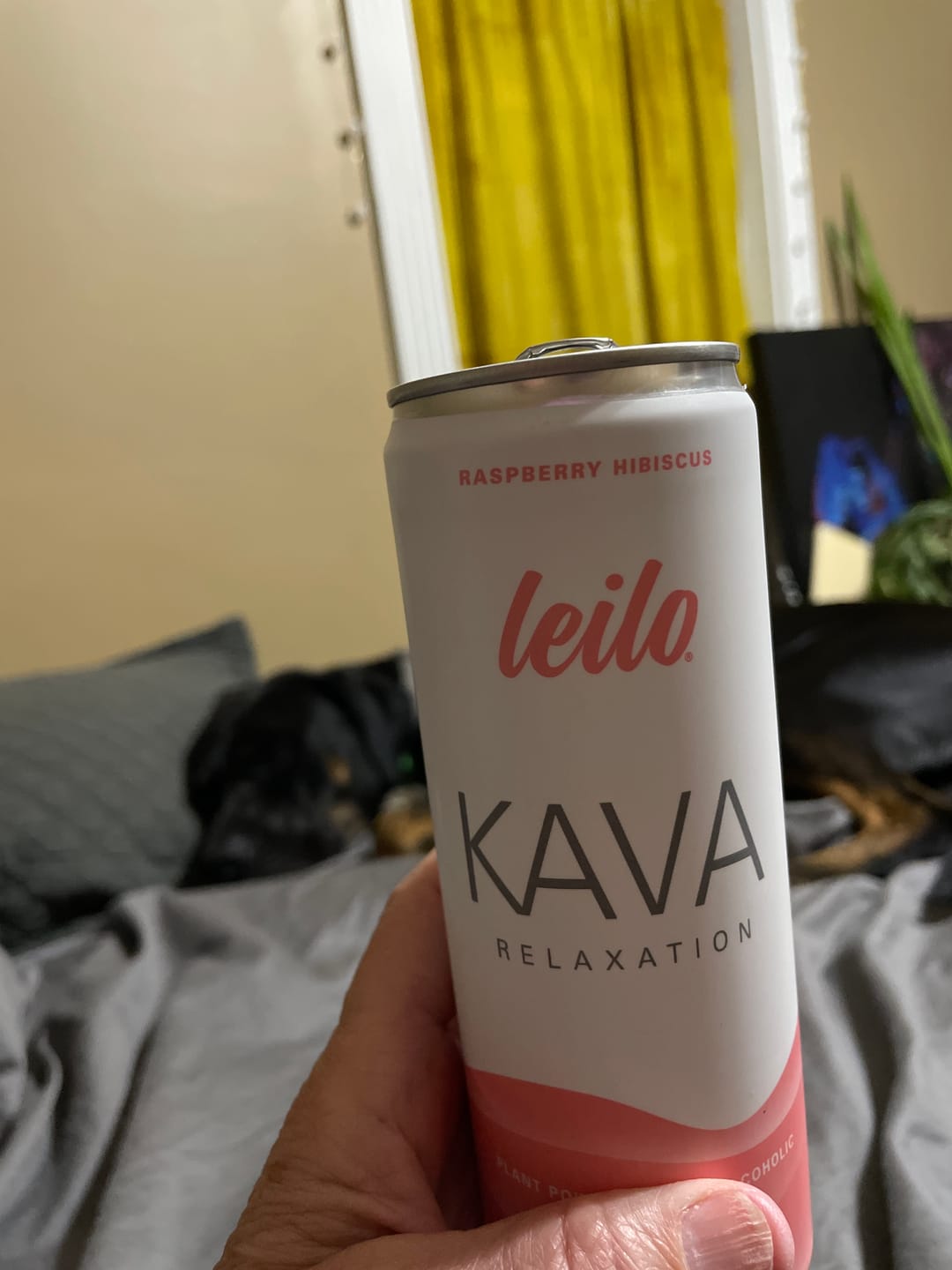 Customer photo review of Raspberry Hibiscus Kava Drink (12-Pack)