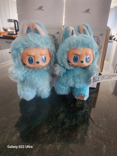 Customer photo review of Pop Mart Labubu The Monsters Big into Energy Series Vinyl Plush Pendant Single Blind Box