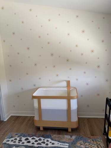 Customer photo review of Daisies