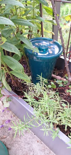 Customer photo review of Bewässerungssystem "Hydro Cup" mit 4 Tonkegeln und Becheraufsätzen