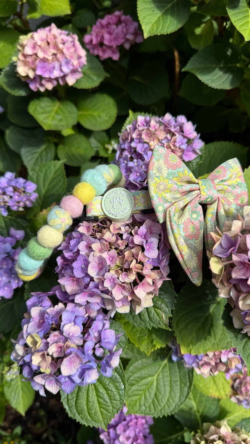 Customer photo review of Sunshine Meadow Flower Collar