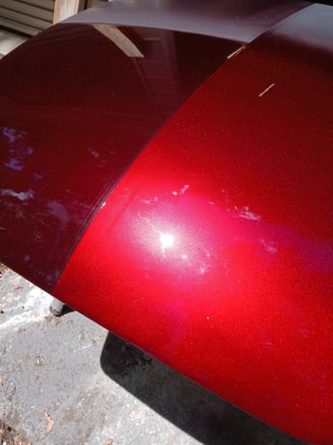 Customer photo review of Fever Dream Paint Basecoat