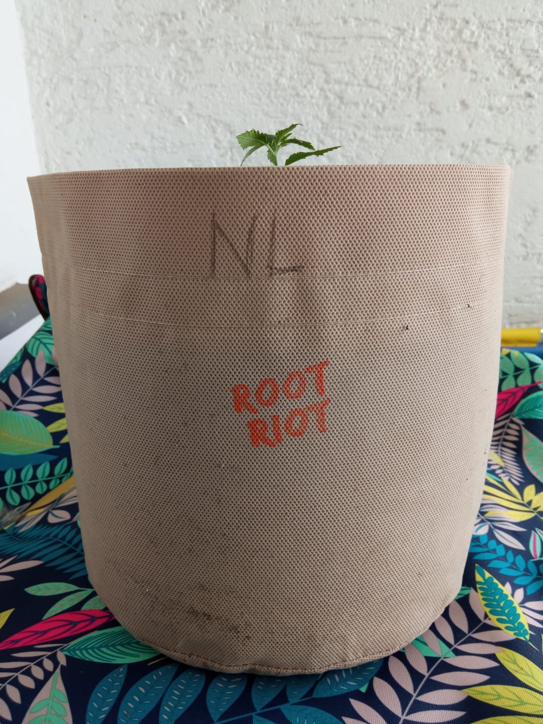 Customer photo review of Root Heaven Stoff Topf