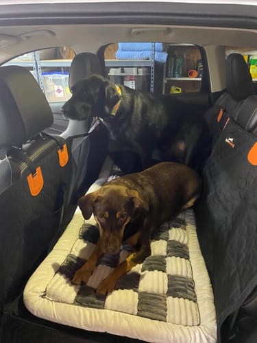 Customer photo review of RuffRover 2.0™ - Hard Bottom Dog Car Seat Protector + (FREE Dog Bed)