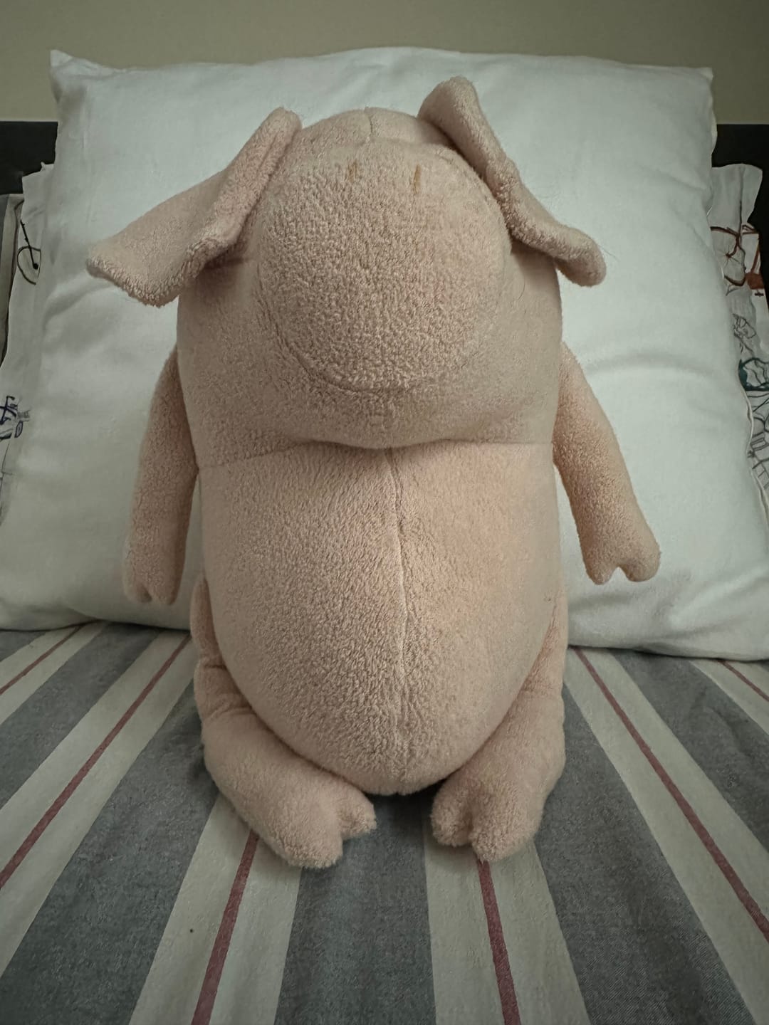 Customer photo review of HELMUT LE COCHON - L