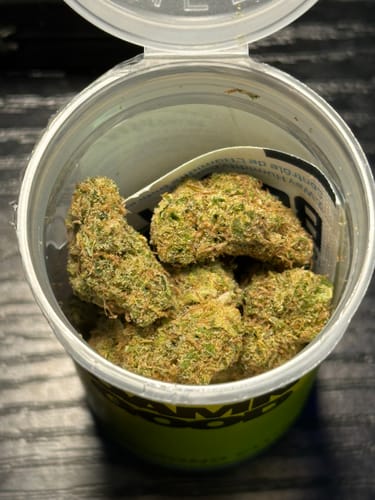 Customer photo review of Dutch Treat